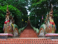 Xnip2565-07-28_16-39-25.jpg - Doi Inthanon National Park Day Tour with Trekking Trail | https://sabaigobangkok.com