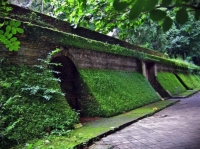 Xnip2565-07-28_16-40-34.jpg - Doi Inthanon National Park Day Tour with Trekking Trail | https://sabaigobangkok.com