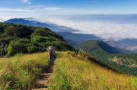 Xnip2565-07-28_16-41-09.jpg - Doi Inthanon National Park Day Tour with Trekking Trail | https://sabaigobangkok.com