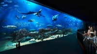 Sea-Life-Bangkok.jpg - SEA LIFE Ocean World in Bangkok Admission Ticket | https://sabaigobangkok.com