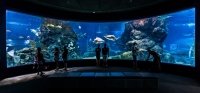 Sealife-Bangkok-Ocean-World.jpg - SEA LIFE Ocean World in Bangkok Admission Ticket | https://sabaigobangkok.com