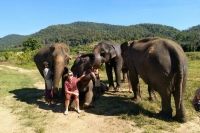 elephant_and_karen_hourse04.jpg - One day Chiang Mai Package all highlights | https://sabaigobangkok.com