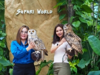 1024-768.jpg - SAFARI WORLD WITH TRANSFER | https://sabaigobangkok.com