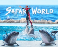 dolphin.jpg - SAFARI WORLD WITH TRANSFER | https://sabaigobangkok.com