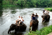 4bef9c3210e99d09f423cb6752cb99a0.jpg - KANCHANABURI ONE DAY TOUR TREKKING TRIP | https://sabaigobangkok.com